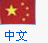 中文版
